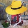 Charlie 1 Horse Highway Hat- Mustard -Fashion Clothing Shop 0197F1CF 1F28 4C8D B90F 19E81F8D0A11