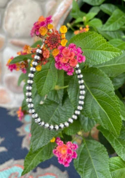 Desert Navajo Pearl Bracelet -Fashion Clothing Shop BB92774A 69B2 4FC3 83C5 A79EC26BF20B 1 105 c