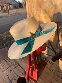 Charlie 1 Horse Old Apache Hat