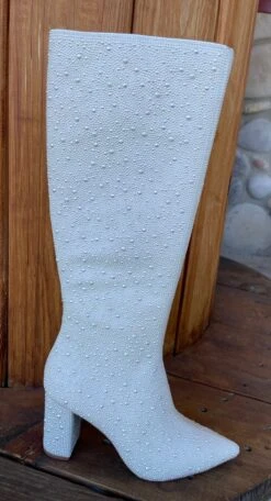 Candy Boots By Betsey Johnson 9 Candy Boots By Betsey Johnson -Fashion Clothing Shop IMG 1459