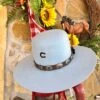 Charlie 1 Horse - Saguaro Hat In Baby Blue -Fashion Clothing Shop IMG 2505