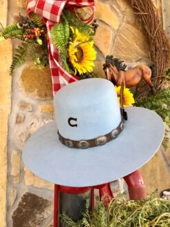 Charlie 1 Horse - Saguaro Hat In Baby Blue