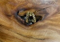 Mia Gold Hoop Earring-Nikki Smith -Fashion Clothing Shop IMG 3139