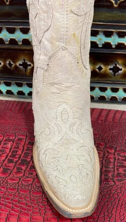 Pixie Dust Over-The-Knee - Corral -Fashion Clothing Shop IMG 3168 01040402 63f4 4dd0 992c e91b11d01680