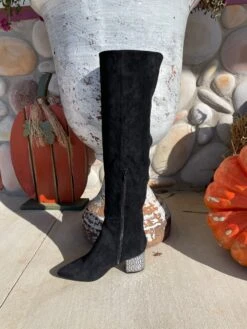 Steve Madden Betsey Johnson SB Lenor Boot 14 Steve Madden Betsey Johnson SB Lenor Boot -Fashion Clothing Shop IMG 5135 f0721ed3 f4b1 4aee 84da f3d42e2a5662