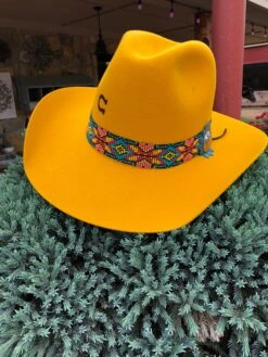 Charlie 1 Horse - Gold Digger Yellow Belly