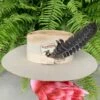 AHC She’s A Wild Card Hat -Fashion Clothing Shop image 107efdc8 03ee 4bcd 8b1b c4b9b6dff920