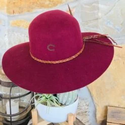 Charlie 1 Horse - Free Spirit Hat -Fashion Clothing Shop image 221174b2 5aad 4576 9e09 299c155be13e