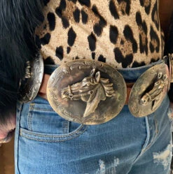 Barbosa Secretariat Belt