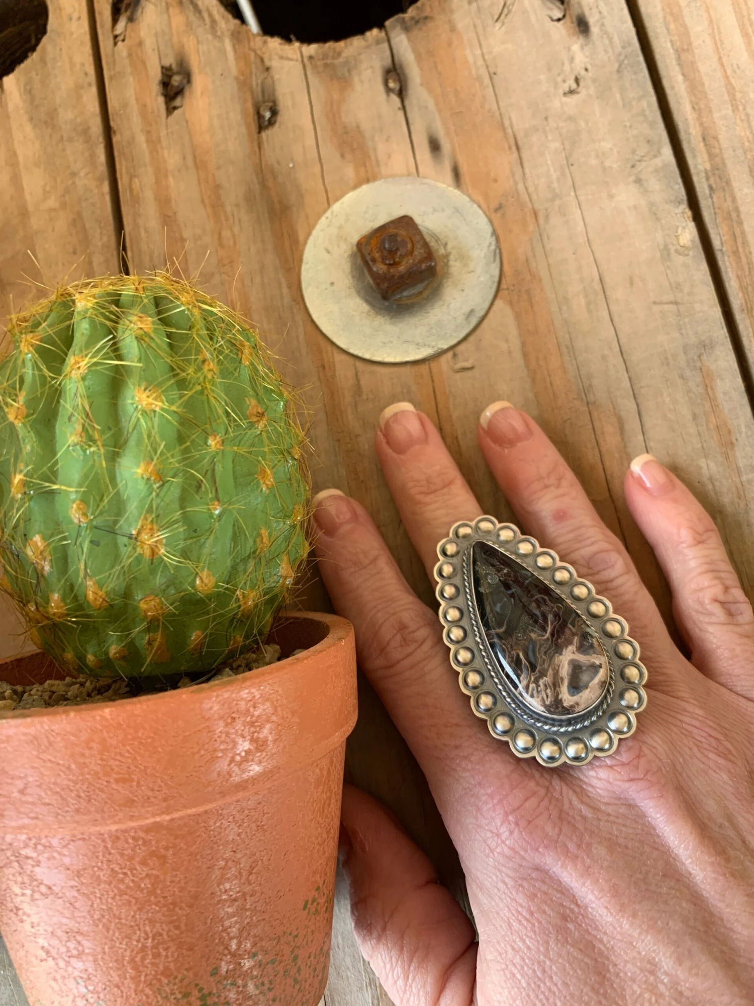 Ring Of Fire Squash Set 12 Ring Of Fire Squash Set - Image 10