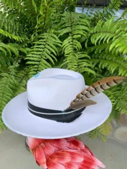 Shag & Gunn Hat Collection -Fashion Clothing Shop image d990bc35 17c6 4cf5 b65e b146be078c71 1