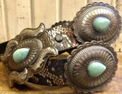 The Black Snake Belt